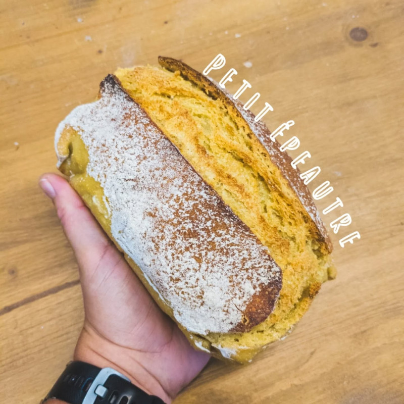 Pain petit épeautre
